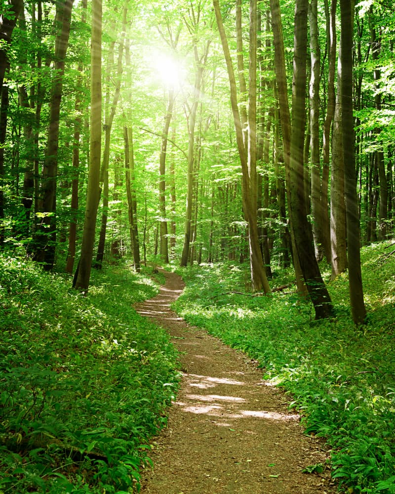 inner-gate-pathways Inner Gate Pathways